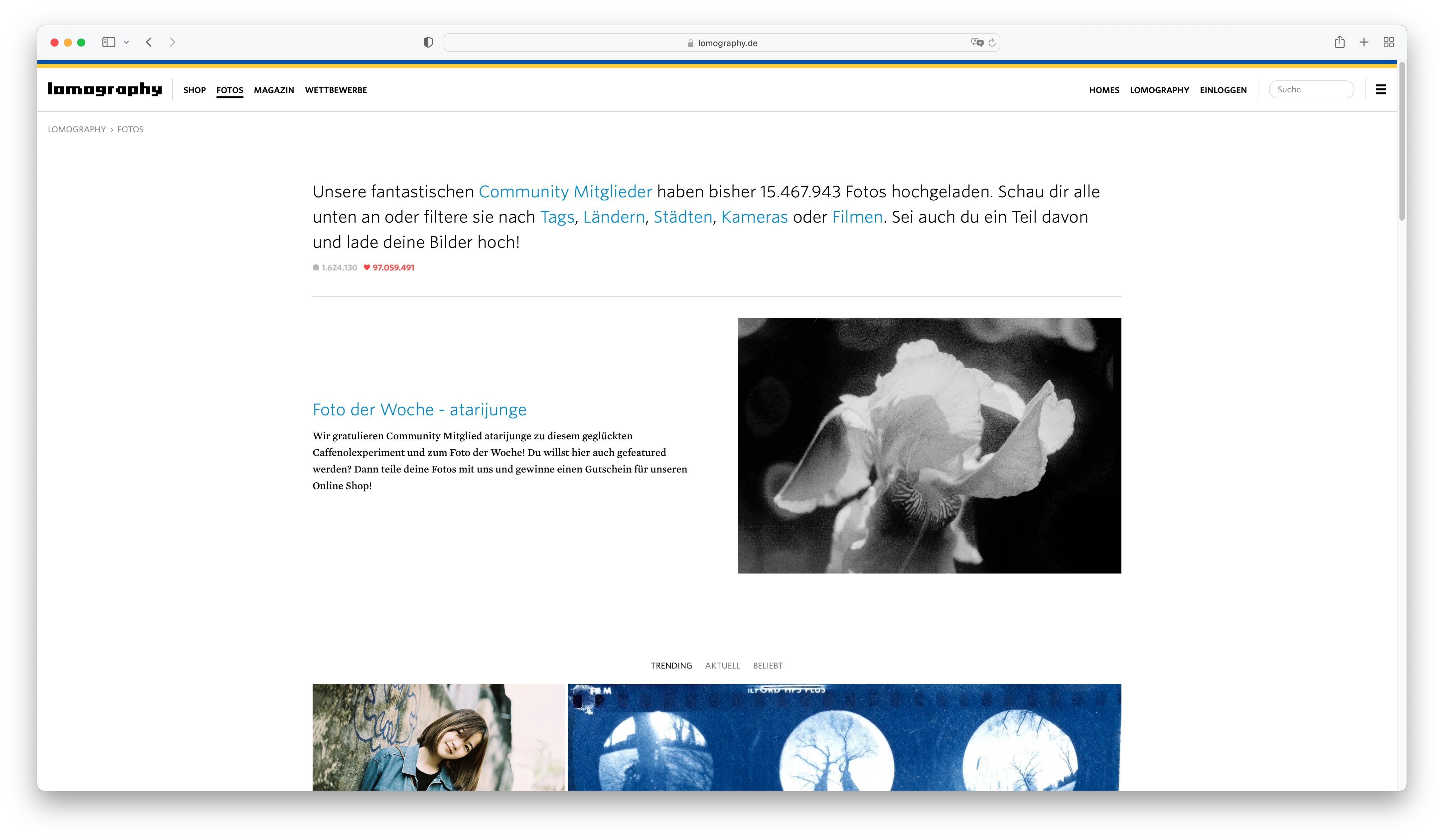 One of my pictures was chosen by Lomography.de as “Foto Der Woche”